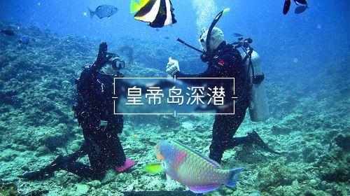 雪公园森林逃生